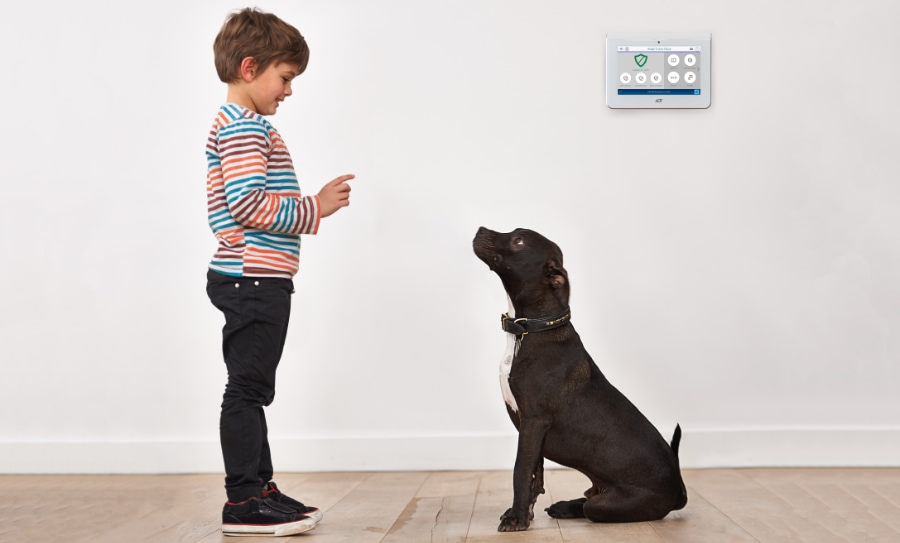 Rockville security systems